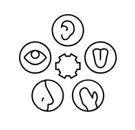 5 (1)